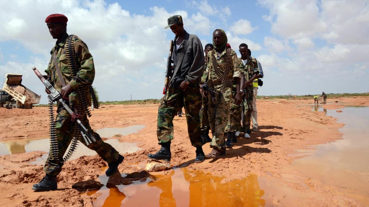 Somalie : plus de 30 membres d’al-Shabab tués dans le centre du pays