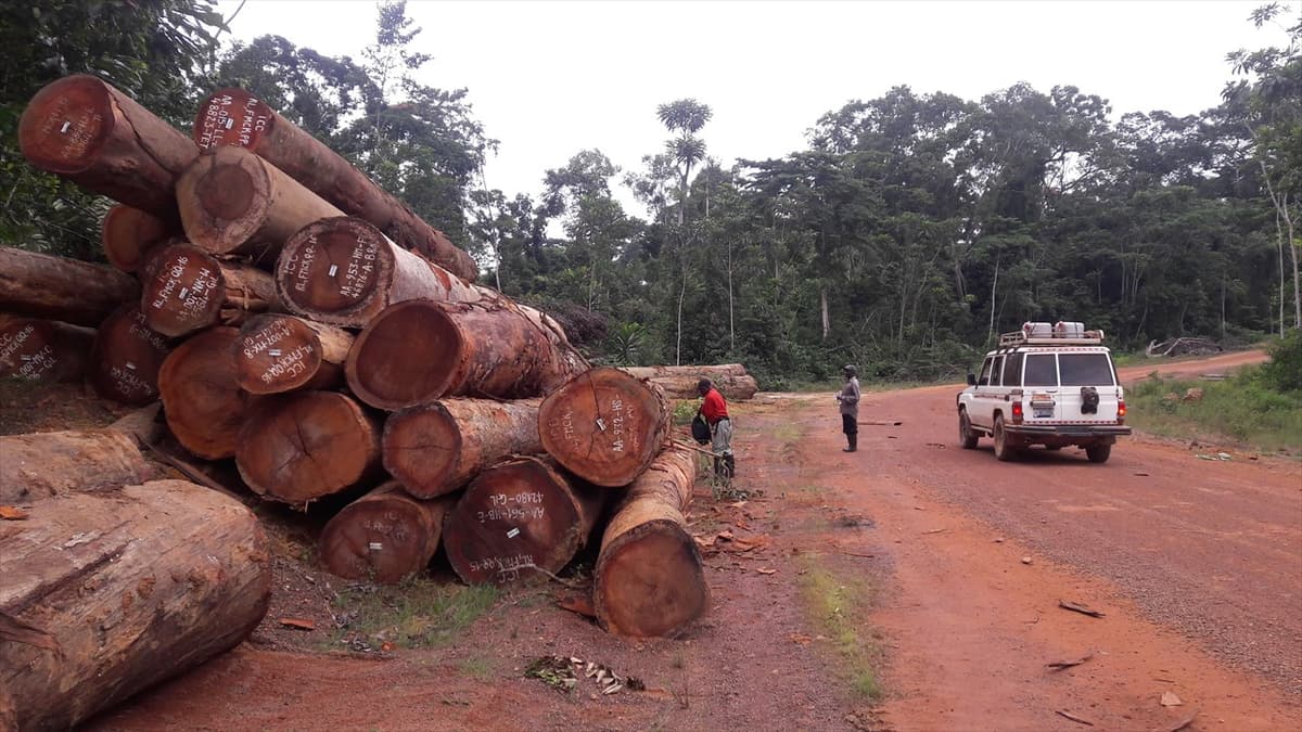 Gabon : le gouvernement lance une centrale numérique pour la traçabilité de la filière bois