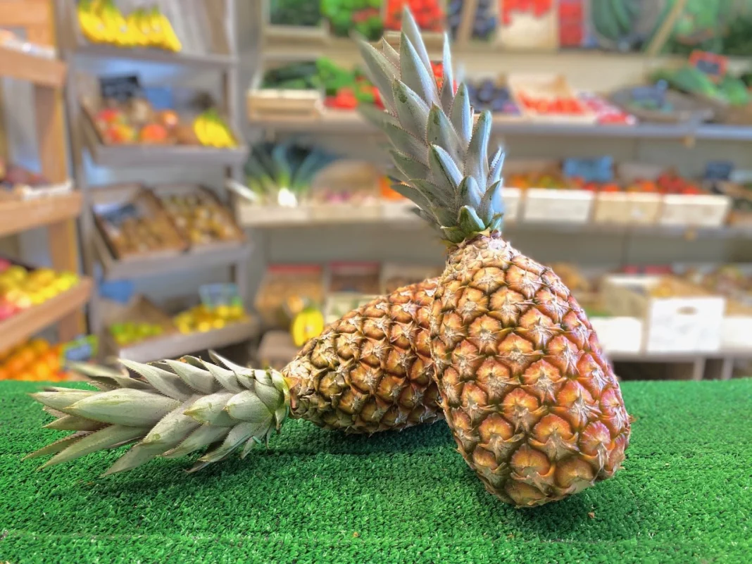 Ananas 