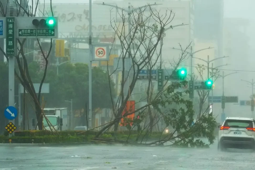 PrÃ¨s de Kaohsiung (TaÃ¯wan) ce jeudi. Cette zone a Ã©tÃ© frappÃ©e par les vents les plus puissants du typhon. AFP_Walid Berrazeg