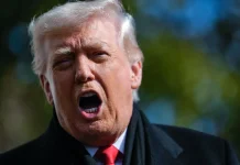 femme de Sarkozy, Carla Bruni révèle la nature de leurs relations