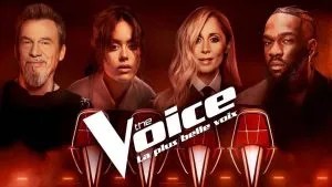 The Voice France : huit coachs au total, Florent Pagny confirmé