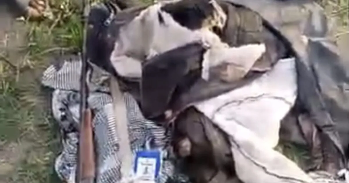 Oyo elephant attack leaves one person dead, one missing