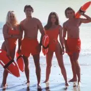 David Charvet accusé d'avoir pris la fuite après avoir tué un chien avec son véhicule