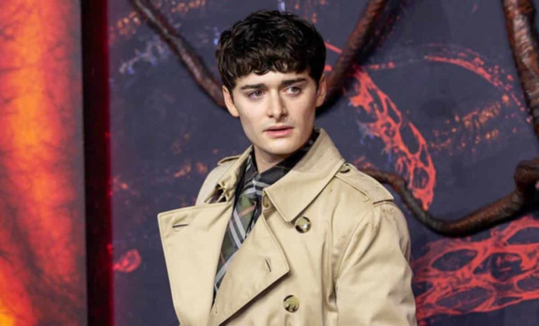 Noah Schnapp (Stranger Things) : trois ans après son coming-out, l'acteur présente son chéri à la Toile