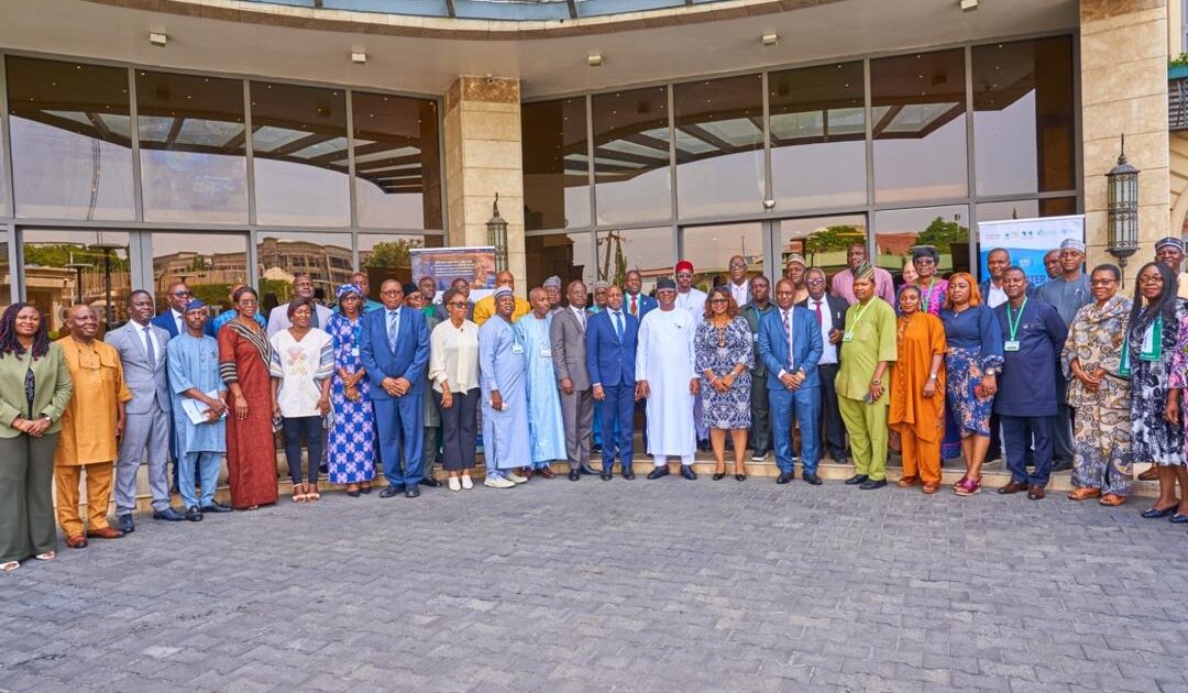 Nigeria Commits to Water Security & Sanitation in Africa
