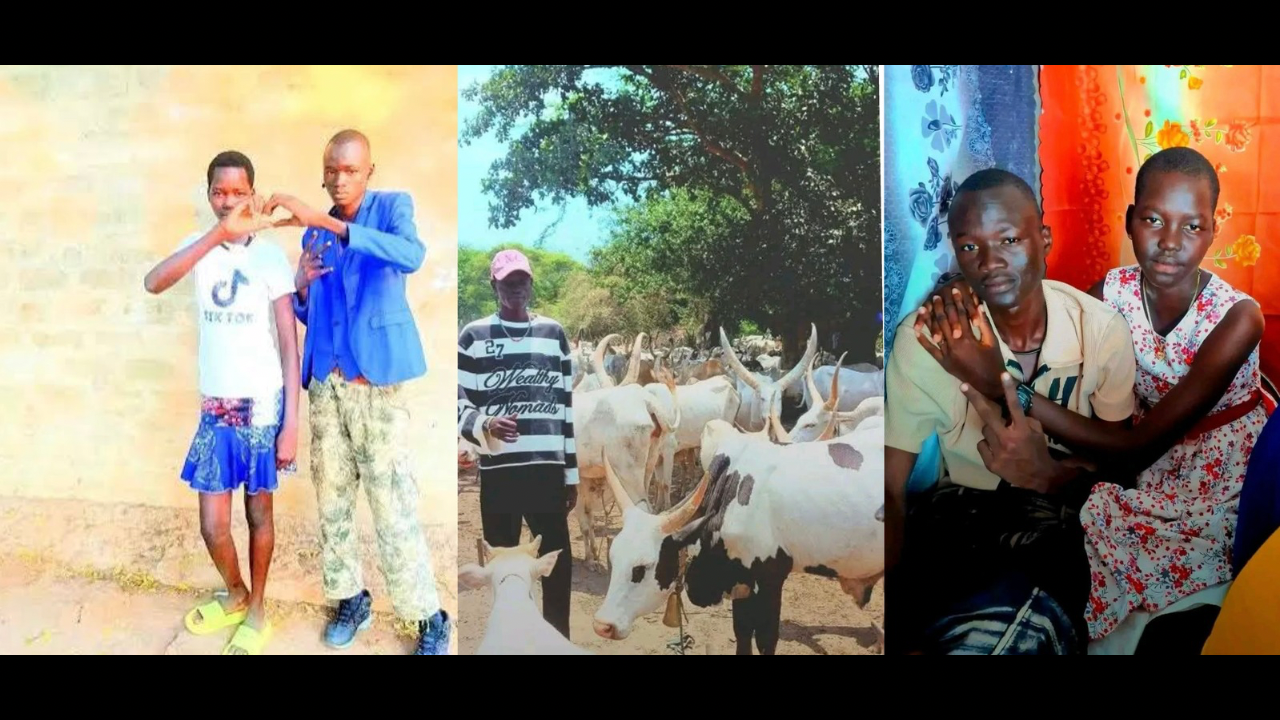 Il se fait larguer par sa petite amie malgré qu’il possède plus de vaches que son rival