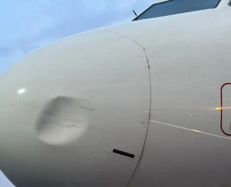 Again, United Nigeria Airlines suffers bird strike