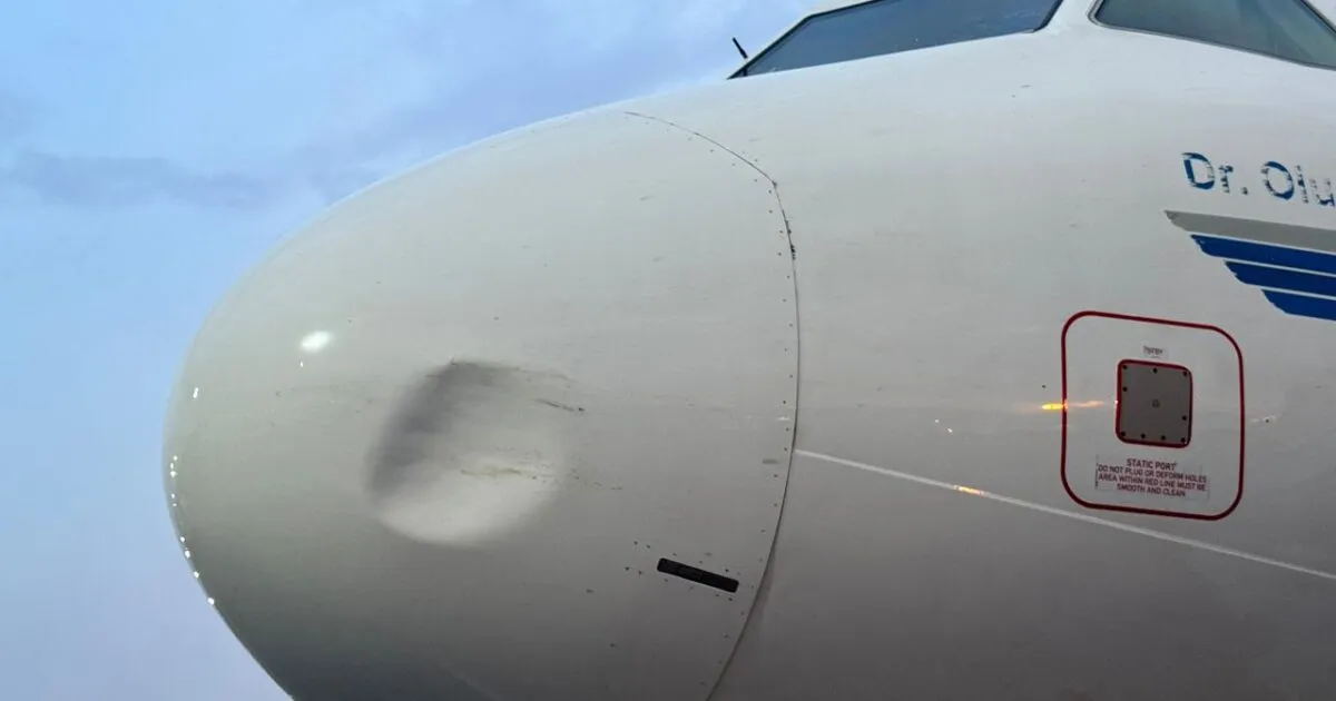 Again, United Nigeria Airlines suffers bird strike