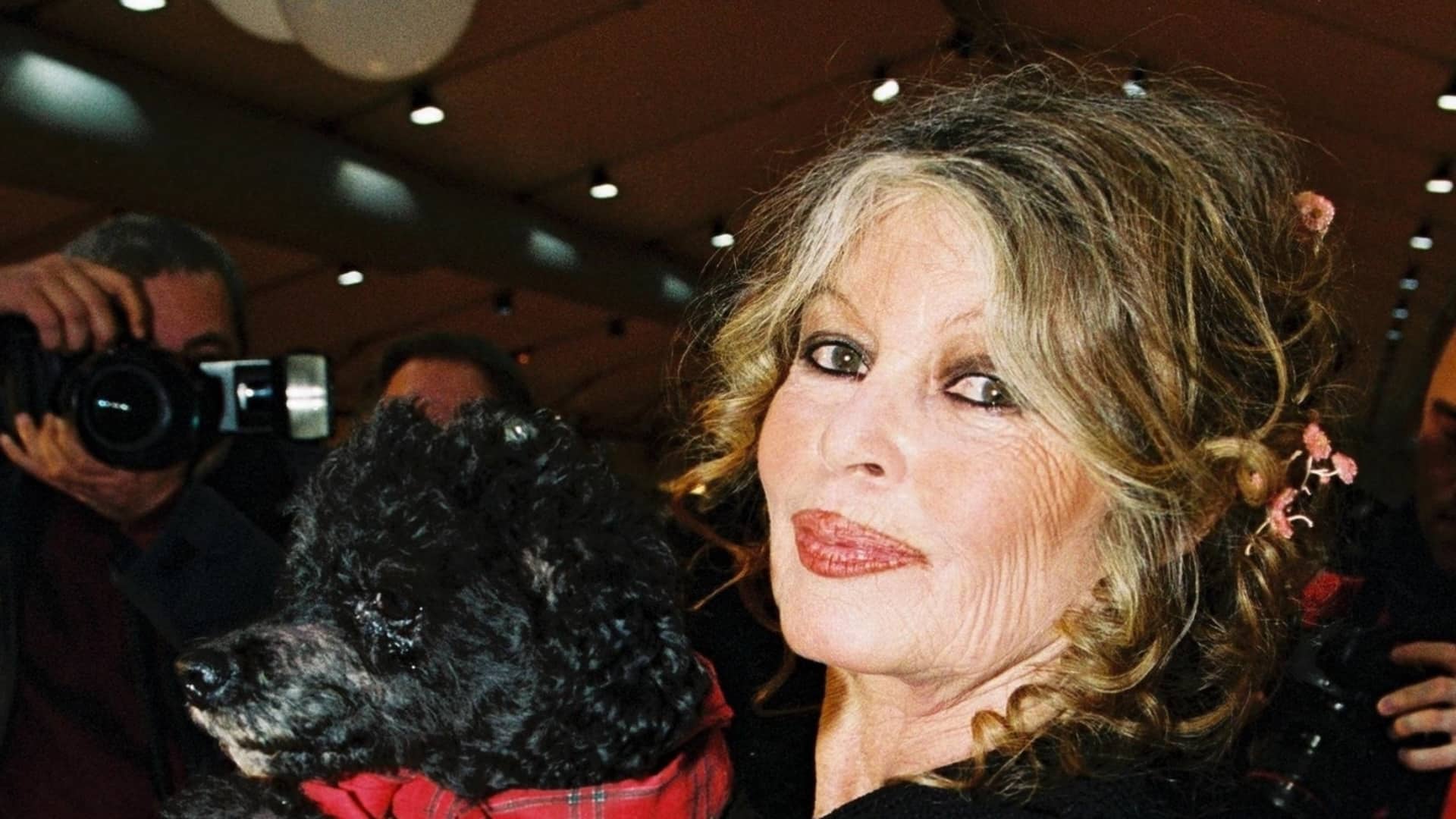Brigitte Bardot : voici la tenue symbolique avec laquelle elle a été enterrée