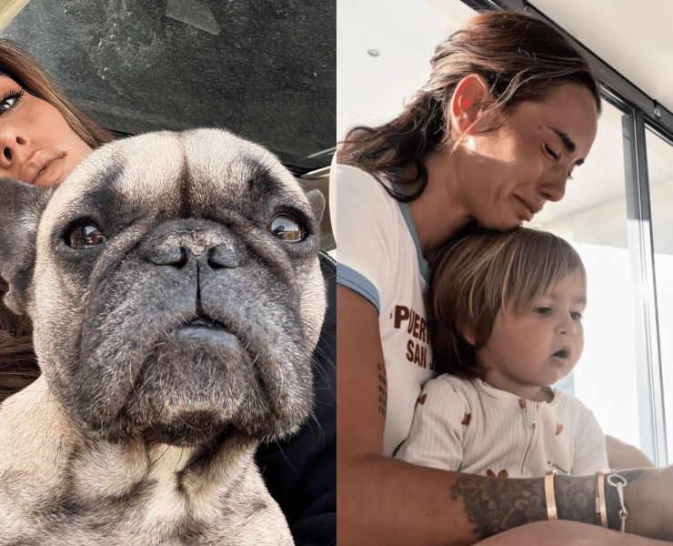 Hilona Gos : sa vidéo boulversante où elle prépare son fils à la mort de leur chien malade