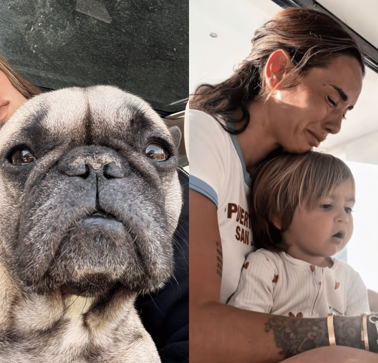 Hilona Gos : sa vidéo boulversante où elle prépare son fils à la mort de leur chien malade
