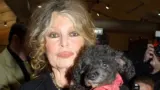Brigitte Bardot : ses objets personnels vendus à prix d’or, la somme récoltée est hallucinante