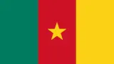 Drapeau du Cameroun, illustration