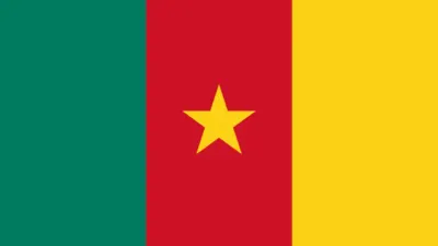 Drapeau du Cameroun, illustration