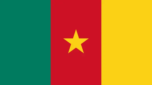 Drapeau du Cameroun, illustration